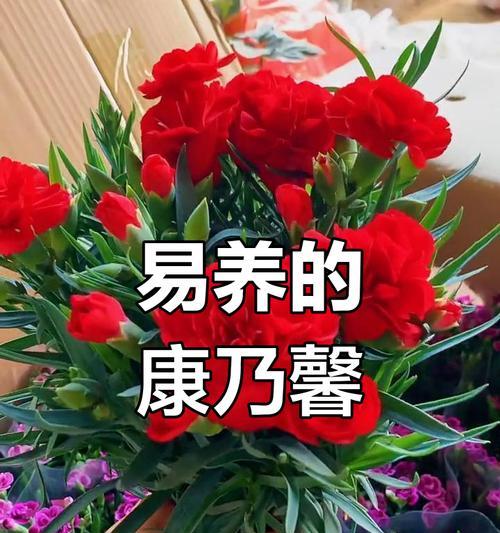 缘尽了是什么花的花语？哪种花象征着关系的结束？