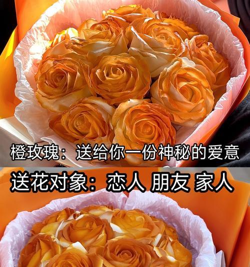 玫瑰花几支的含义是什么？它在送花时代表什么？