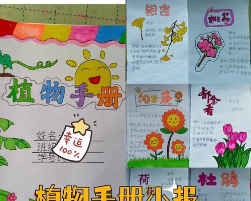 四季植物包括哪些种类？它们各自有什么特点？