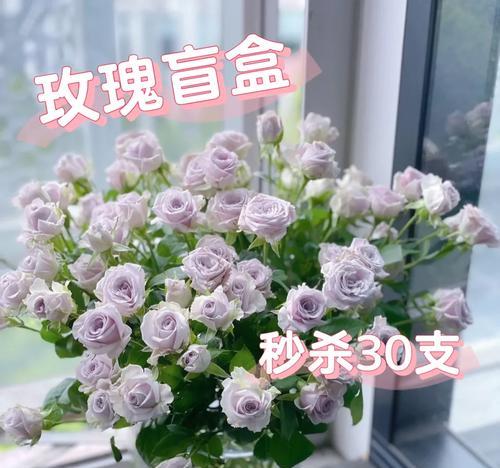 30朵玫瑰花的真实含义是什么？