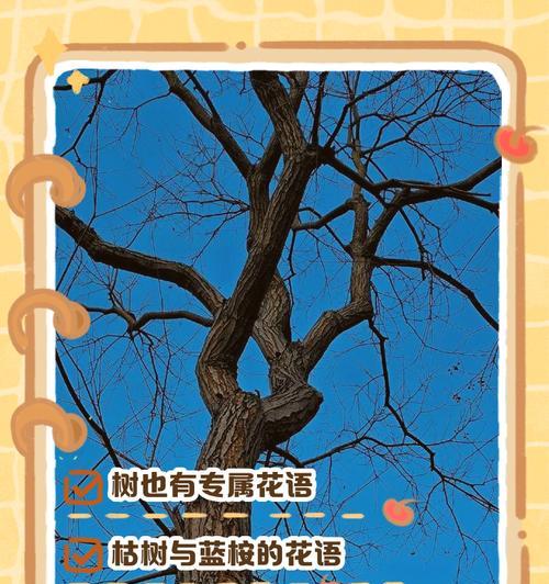 那天吻你的花语有何深意？它传递了哪种情感？