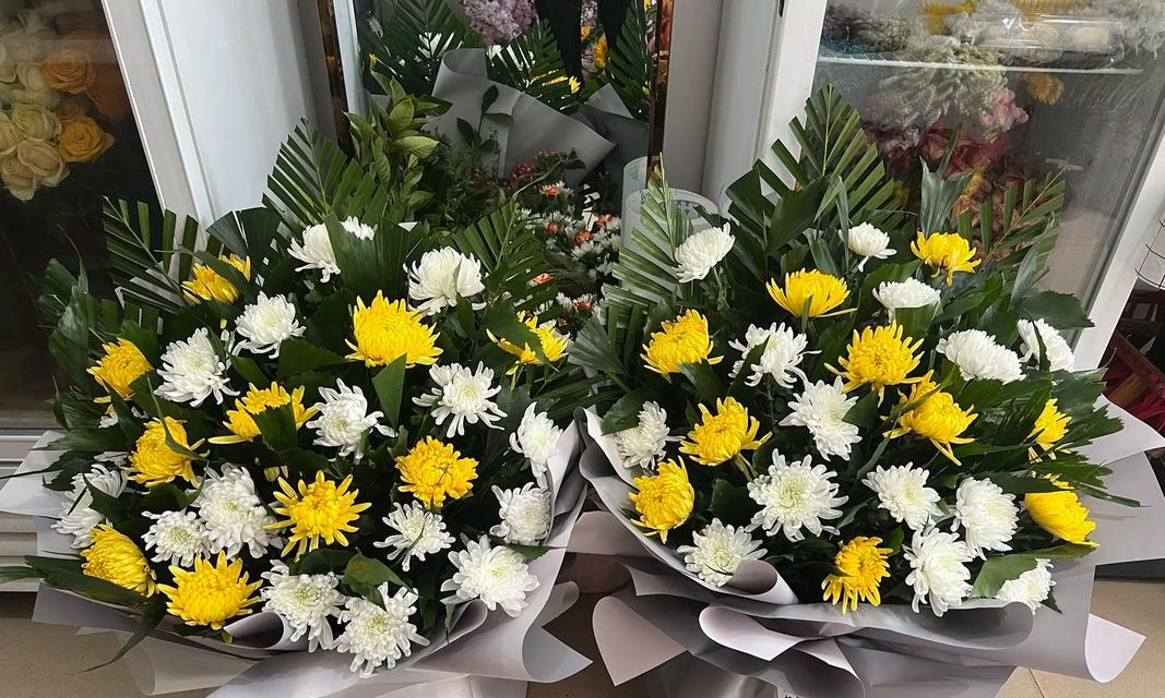 送菊花的含义是什么？为什么菊花是哀悼的象征？