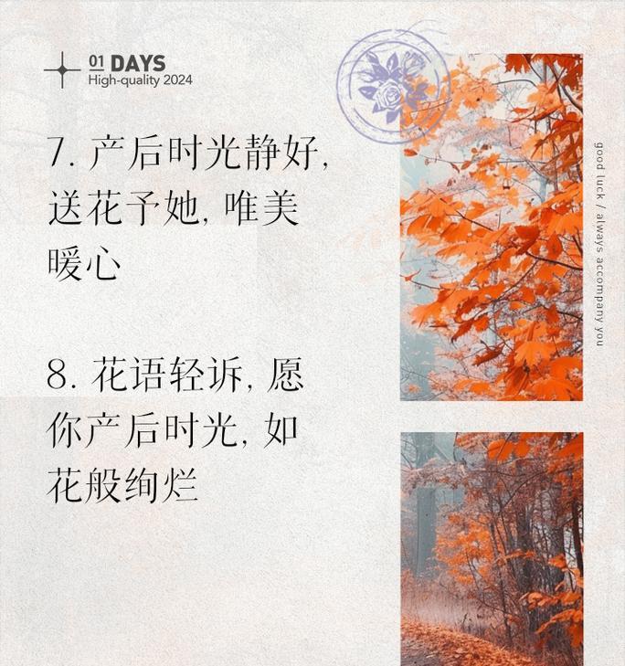 产妇适合接受哪些花的祝福？