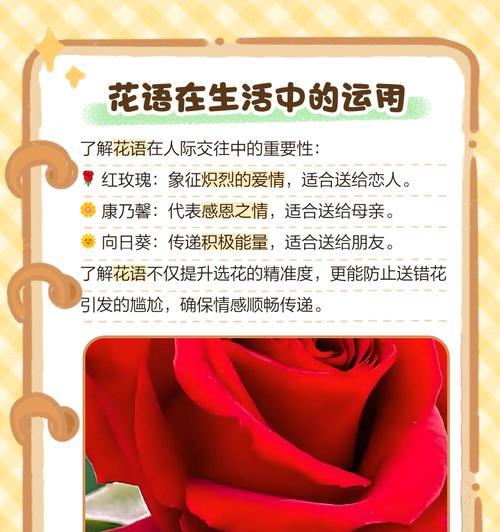 鲜花推荐和花语有何不同？