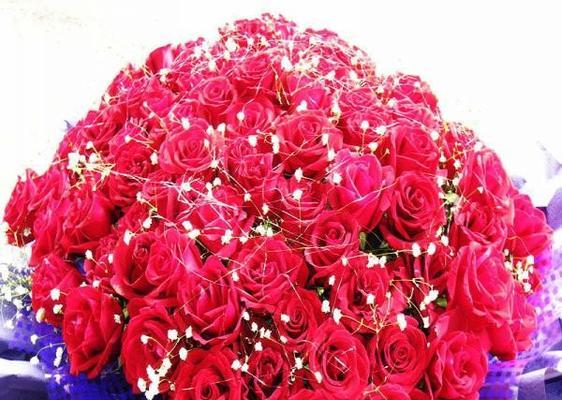 放弃过去的花语有哪些？它们代表了怎样的情感？