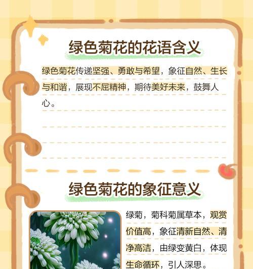 哪种花语最适合朋友间表达？它代表了什么？