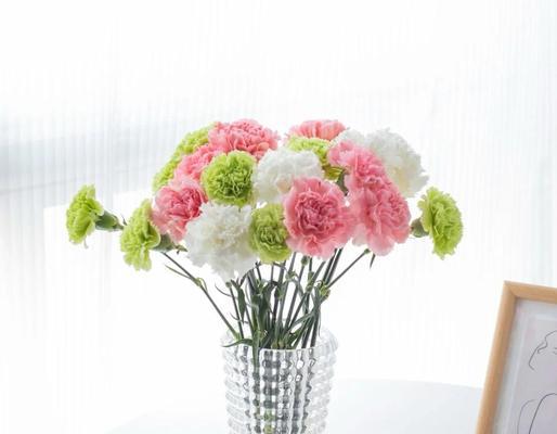 妈妈喜欢的花有哪些花语？如何表达对妈妈的爱？