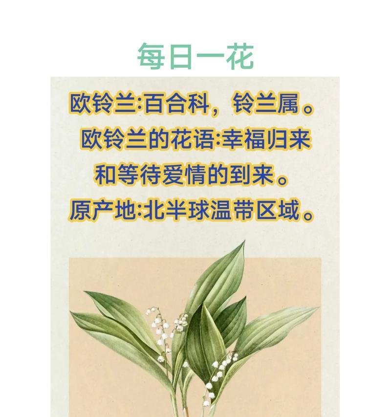 妈妈喜欢的花有哪些花语？如何表达对妈妈的爱？