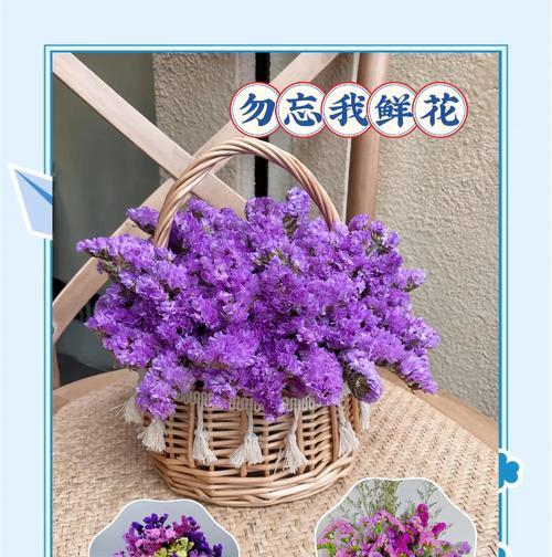 勿忘我花的花语代表什么？