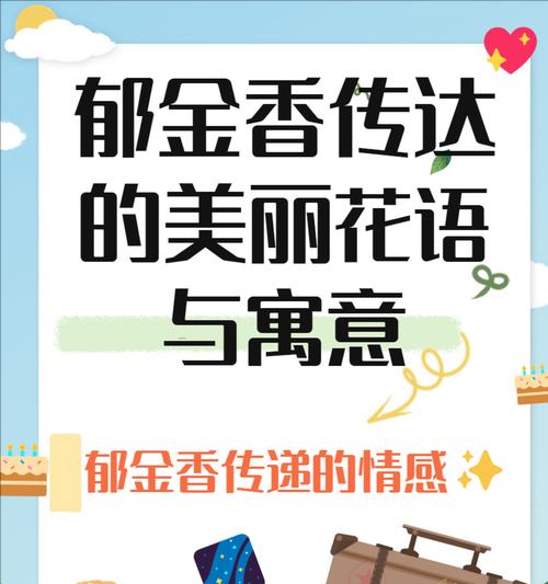 表演节目时如何正确使用花语来表达情感？
