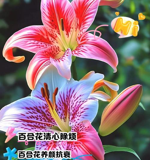 你猜我是什么花语言的PPT如何制作？PPT中花语言的含义是什么？