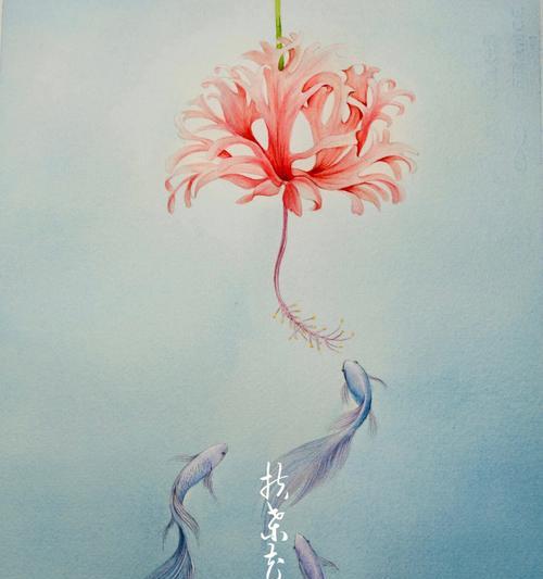 相思成灾的花语是什么？相思成灾寓意何在？