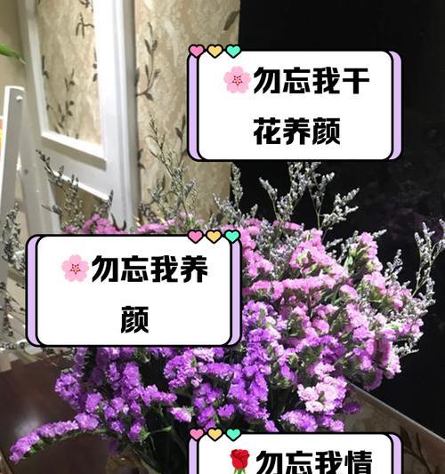 勿忘我花束中几朵花的含义是什么？它们各自代表了什么？
