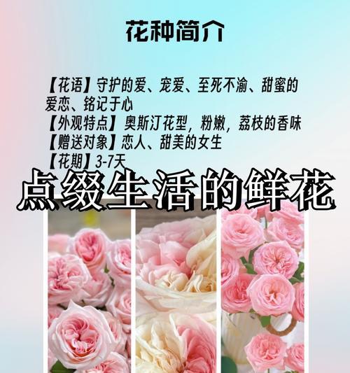 哪种花象征恋人？花语和寓意是什么？