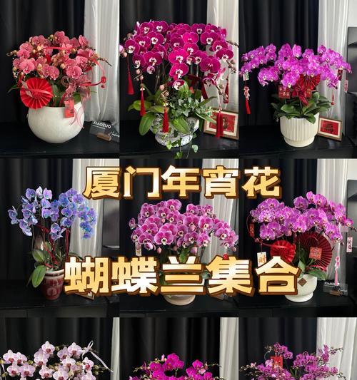 4月8日的花语有哪些？这一天适合送什么花？