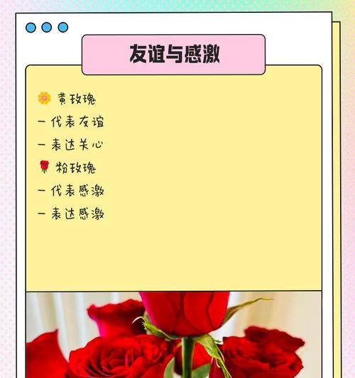 向爱人表达歉意的花语是什么？哪种花语最适合表达歉意？