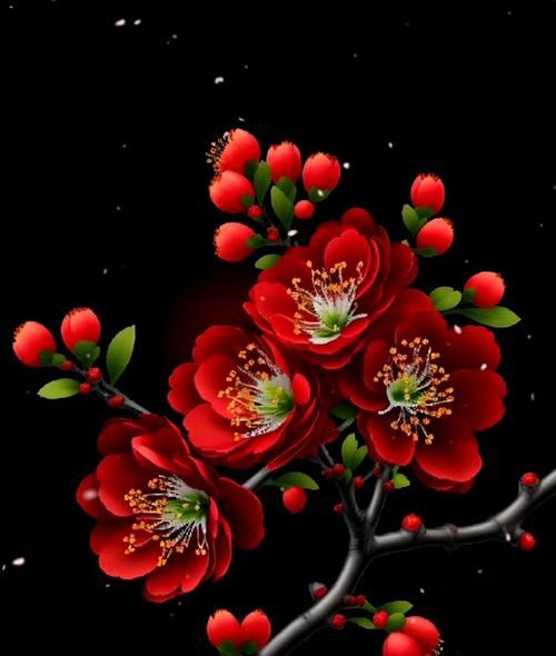 哪种花的花语代表恨意？