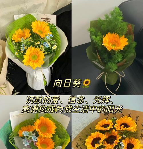 送老师什么花最合适？花语有哪些寓意？