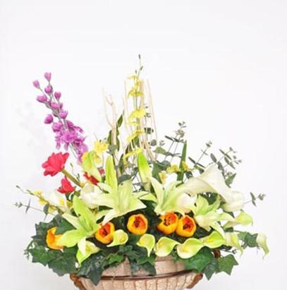 长生花的花语有何含义？长生花代表了什么？