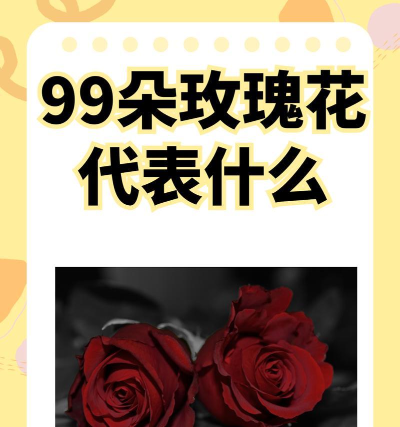 玫瑰花用于道歉时的寓意是什么？玫瑰花道歉的花语有哪些？