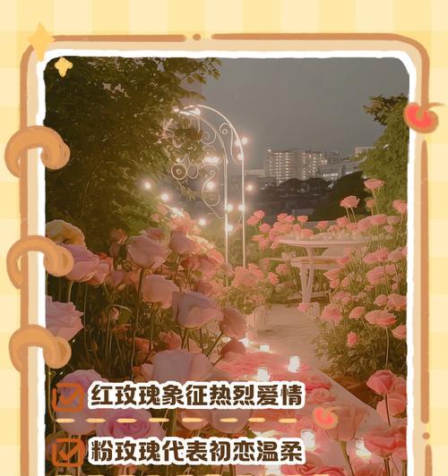 玫瑰花用于道歉时的寓意是什么？玫瑰花道歉的花语有哪些？