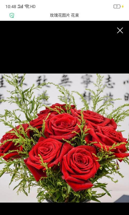 适合弟弟的玫瑰花语是什么？如何选择合适的花语表达情感？