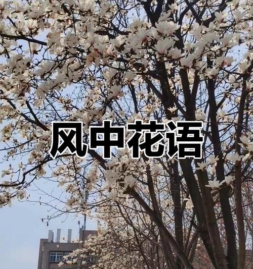 玉兰飘香的花语是什么？玉兰飘香象征着什么？