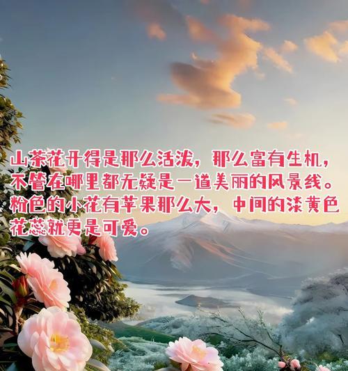 再次相逢是什么花的花语？哪种花代表重逢的喜悦？