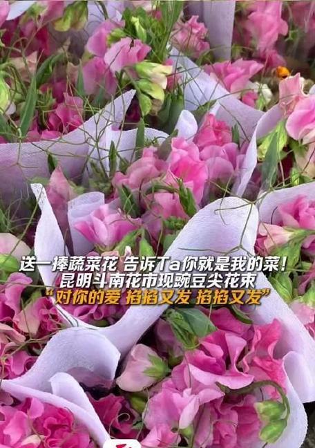 弯豆尖的花语有何深意？