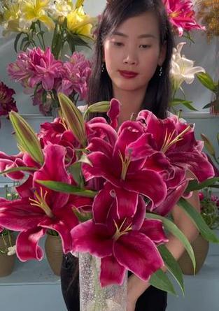 黑美人百合花语有何深意？为何选择黑美人百合？