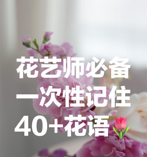 如何通过花语表达自爱？更爱自己的花语有哪些？