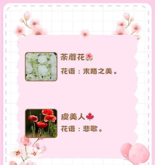 哪种花的花语最伤感？它表达了怎样的情感？