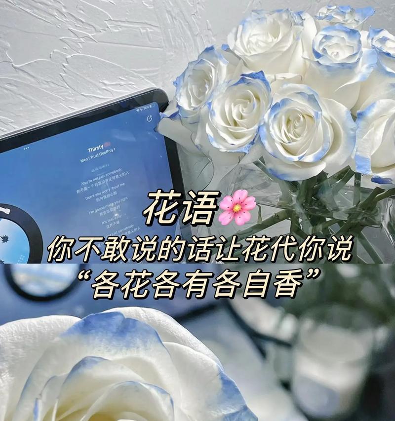 迷人花语的道具有哪些？
