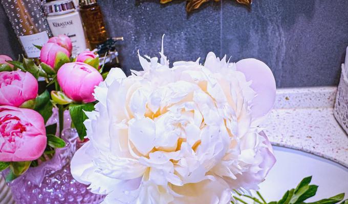 友情和爱情的花语有哪些？友情与爱情的花语是什么？