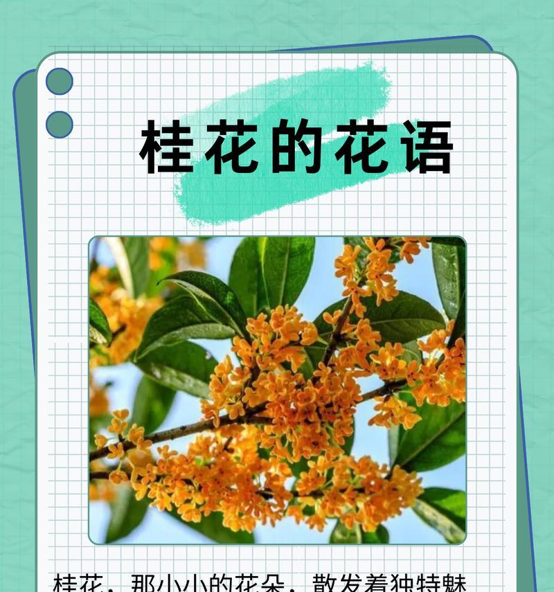 迟桂经久的花语是什么？表达怎样的情感？
