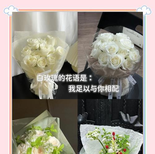 开心的花语有哪些？如何用花语表达希望？