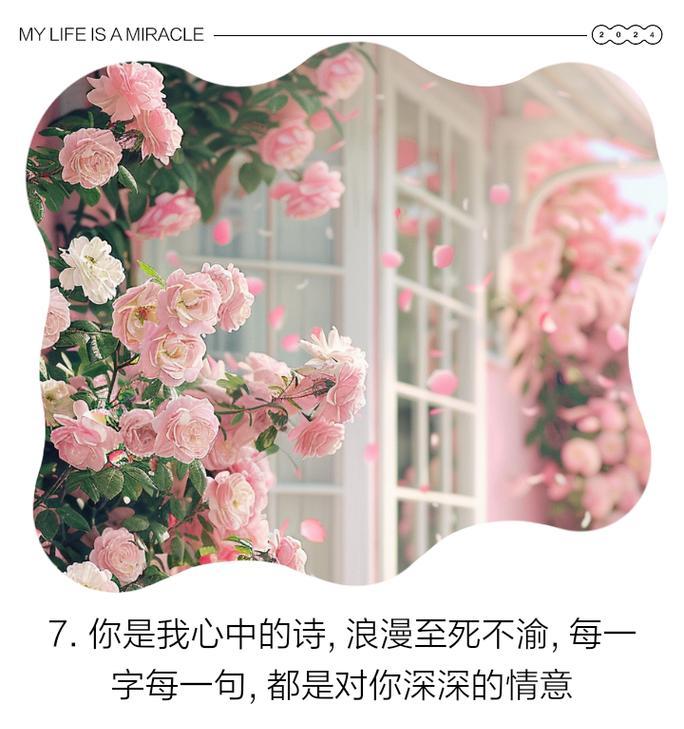 共赴一场花语之约意味着什么？它代表了哪种情感？