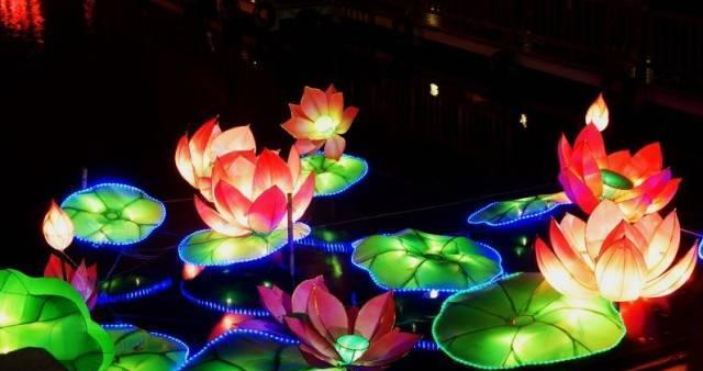 元宵节的花语和寓意是什么？