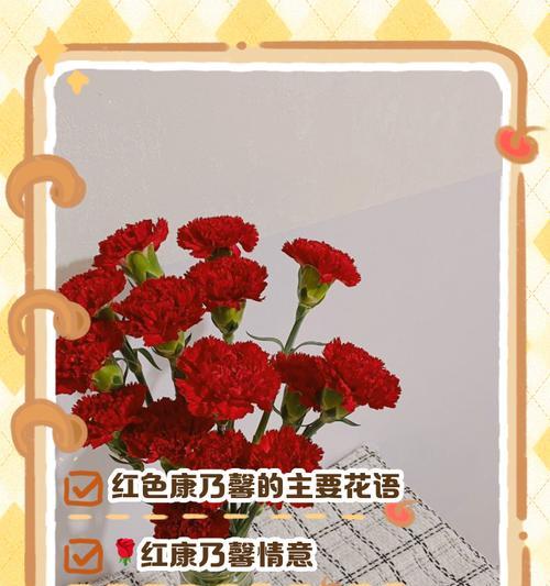 送给老师的花语应该是什么？哪种花最适合表达敬意？