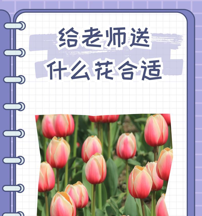 送给老师的花语应该是什么？哪种花最适合表达敬意？