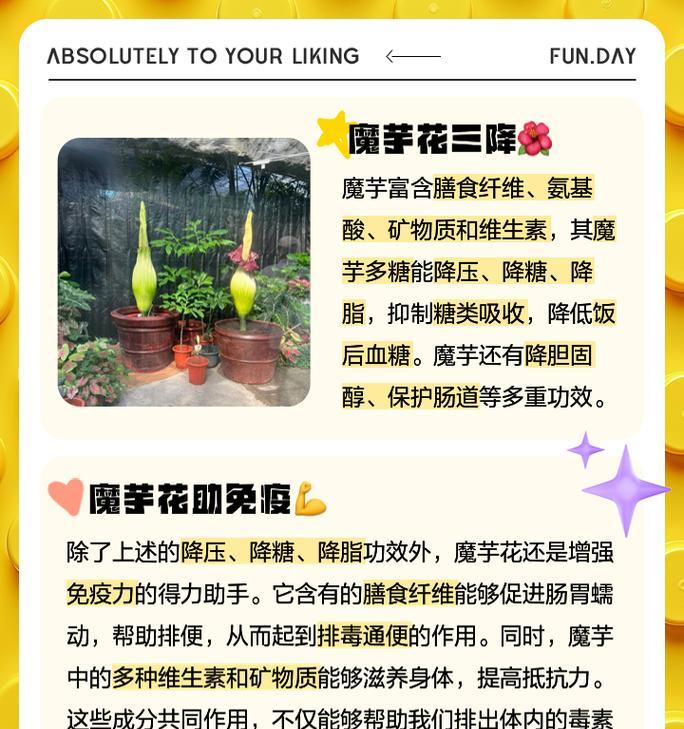 疯魔象征的花语有何含义？
