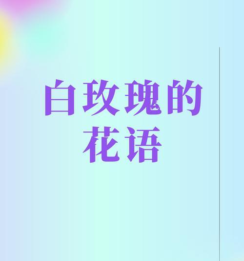 玫瑰花语有哪些新变化？如何用最新玫瑰花语表达爱意？