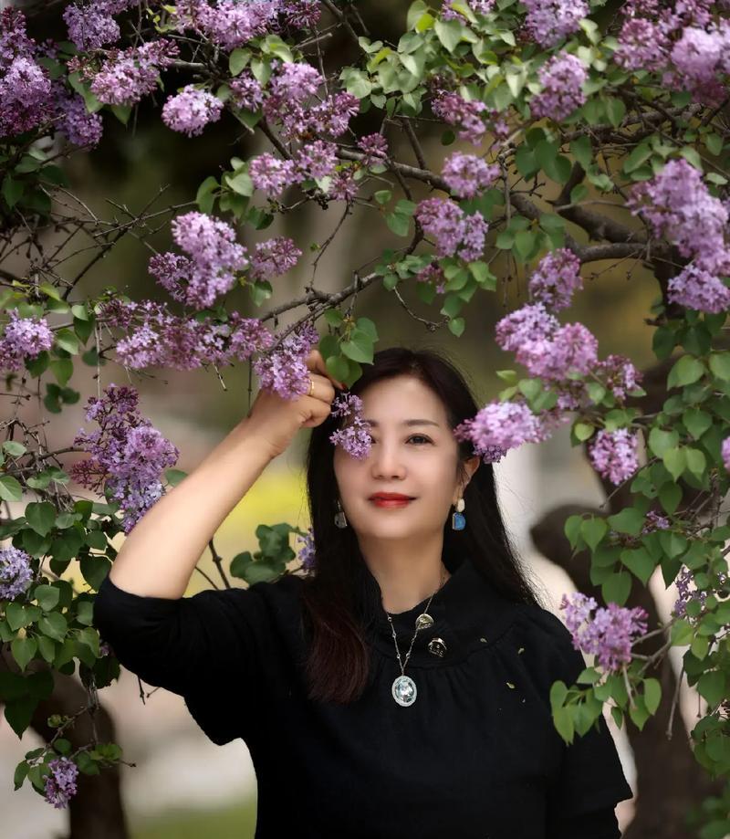 指点花的花语是什么？它代表了哪些寓意？