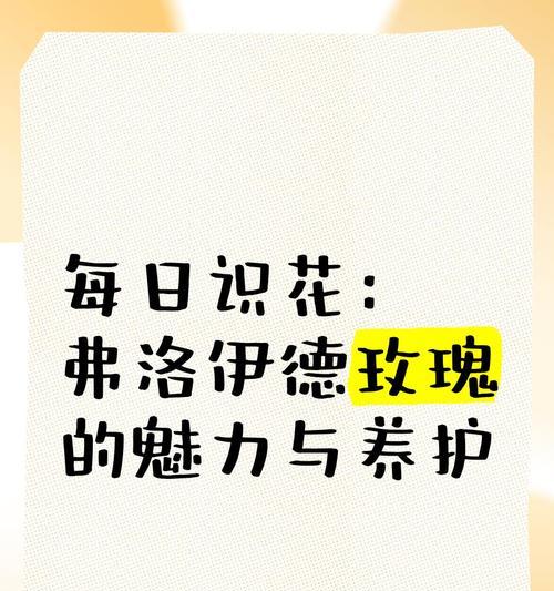 佛洛伊德玫瑰的花语有何深意？它象征着什么？