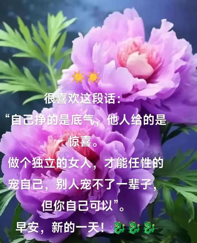 哪种花的花语能给人惊喜？惊喜花语的含义是什么？