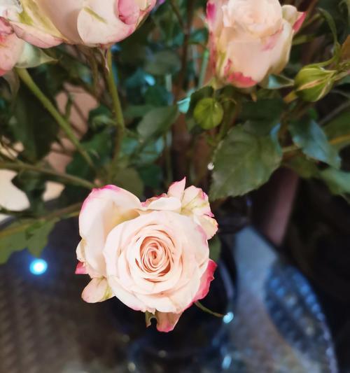 土房子上的玫瑰花有何寓意？它代表了什么？