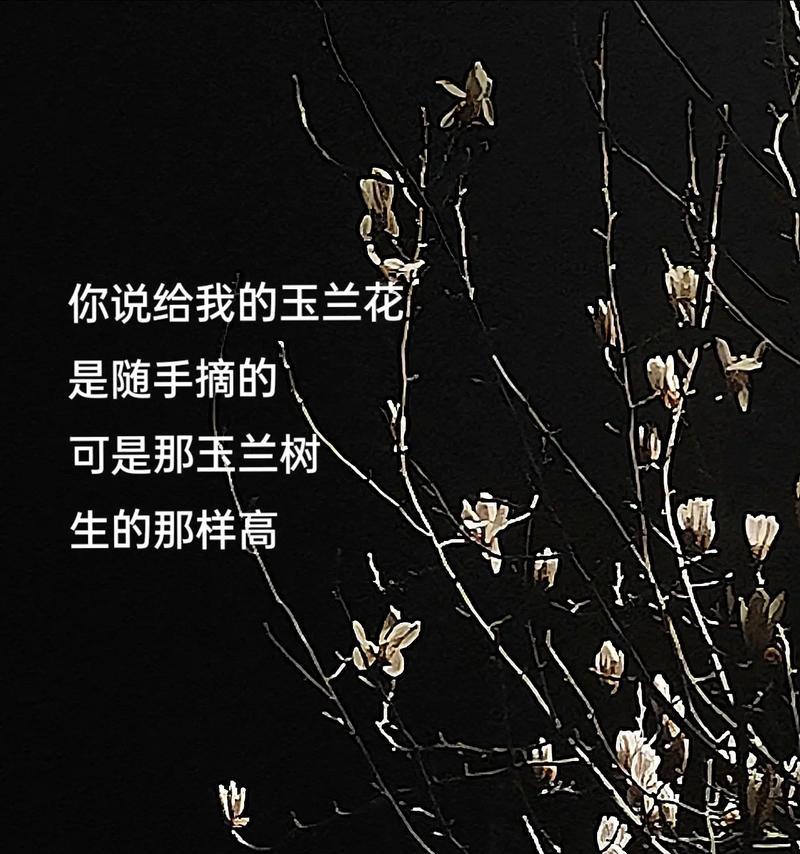送玉兰花的花语和寓意是什么？玉兰花传递了哪些祝福？