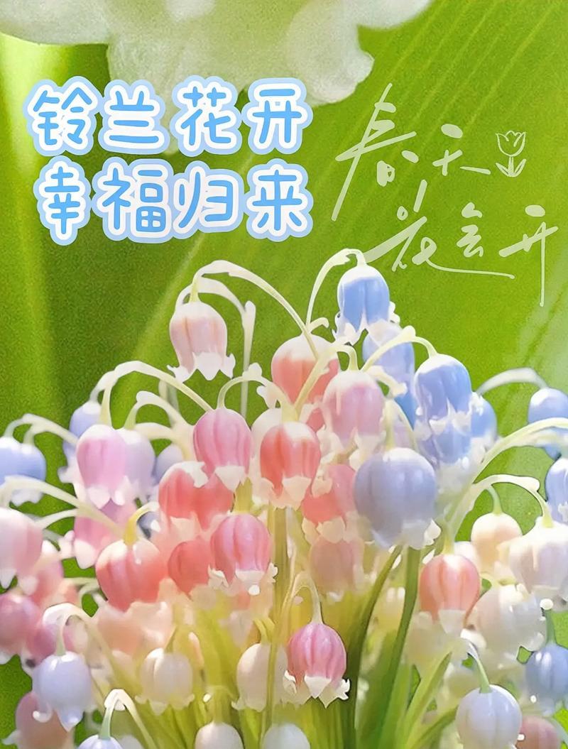 铃兰花的花语大全有哪些？铃兰花的花语是什么？