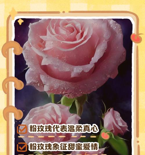 小宝的玫瑰花语是什么？这种花语如何表达爱意？