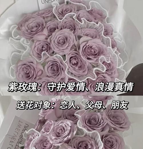 小宝的玫瑰花语是什么？这种花语如何表达爱意？